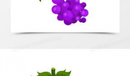 葡萄漫画图,趣味横生的果实故事